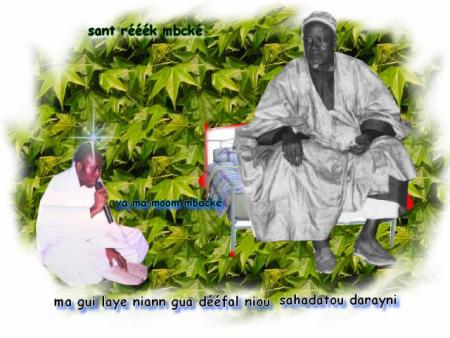 SLT